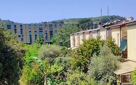 Maestrale